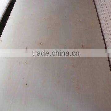 linyi best price birch plywood to africa and UAE market