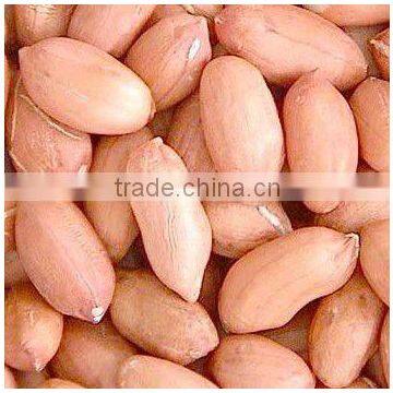 China groundnut kernels Long type(sea-flower)