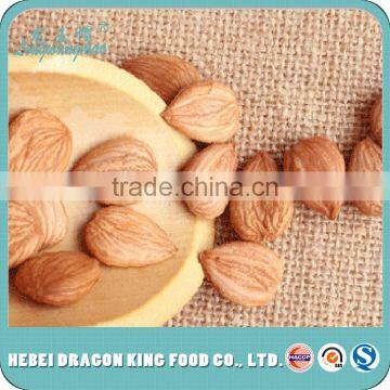 premium Bulk Chinese sweet apricot seed, Chinese bitter apricot kernels