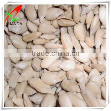 sunflower seed kernels confectionary for usa