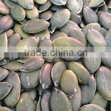 pumpkin seeds GWS
