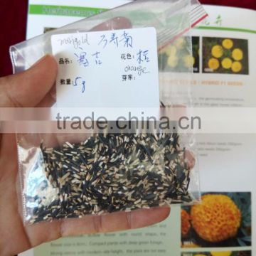 Marigold seeds