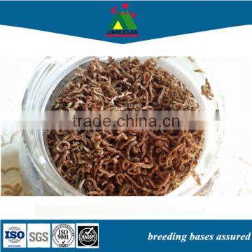 ideal protein worm fishing food bait lure