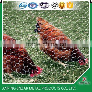 Net Mesh For Chicken And Poultry Fencing