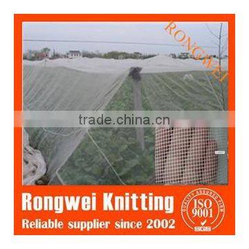 Agriculture HDPE Insect Mesh Netting Anti-insect Netting photo-2