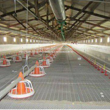 Poultry Equipment Chickenhouse Feeding Line photo-3