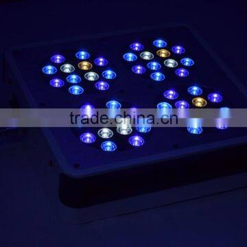 Hot Selling Apollo 4 Led Grow Lights Hydroponic photo-5