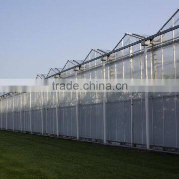Galvanized Steel Frame Commercial Glass Greenhouse For Sale photo-4