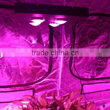 Led Grow Lighting 800W Equal to Others 1200W COB LED Spider Man Plant Grow Light photo-5