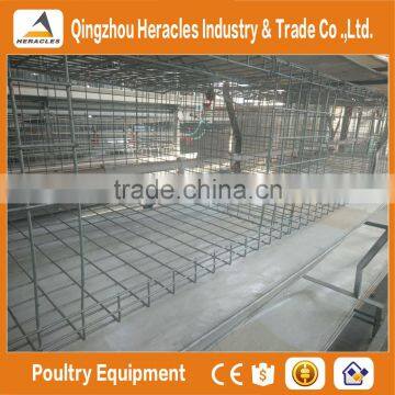 China Trade Assurance Chicken Bird Cage for Sale photo-4