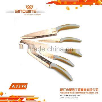 A3391 New Design Hot Sale 5pcs Stainless Steel Knife Set With Titanium Plated photo-5
