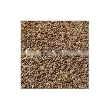 Celery Seed