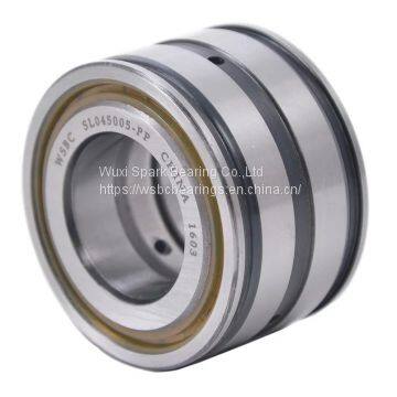 WSBC Sealed Double Row Full Complement Cylindrical Roller Bearings SL04 5008 PP