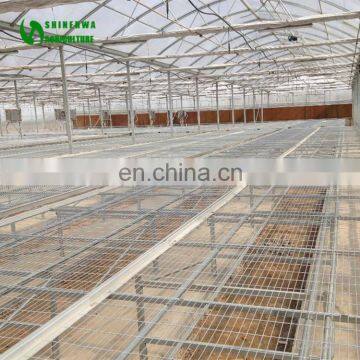 Commercial Agricultural Greenhouse Movable Nursery Bench photo-3
