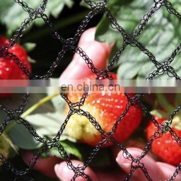 Cherry orchard grapes cover bird control fruit tree net, agricultural bird netting