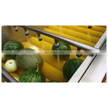 HP-360 Spray Washer Type Watermelon Peach Lemon Roller Cleaning Machine photo-4