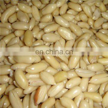 High Performance Soaked Groundnut Cleaning Machine photo-3