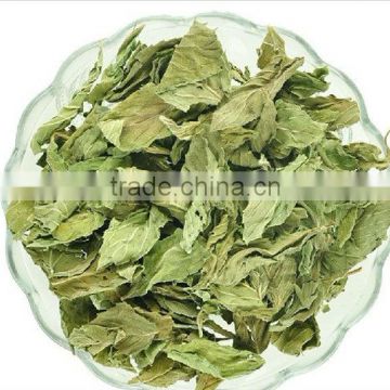 Mint Leaf Tea,Mentha Leave Health Tea