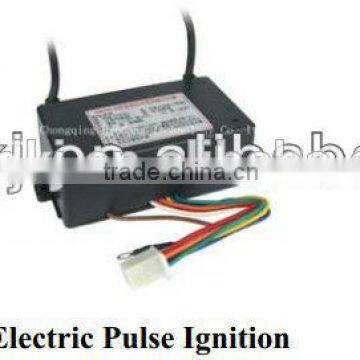 High Energy Electric Pulse Igniter for gas ignition system                        
                                                Quality Choice