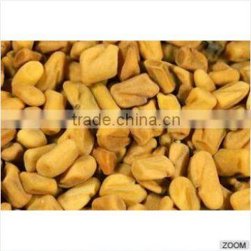 Fenugreek Seeds photo-3