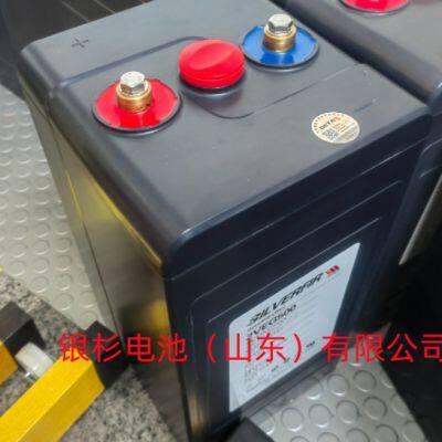 China silver fir battery 2VEG500 price discount