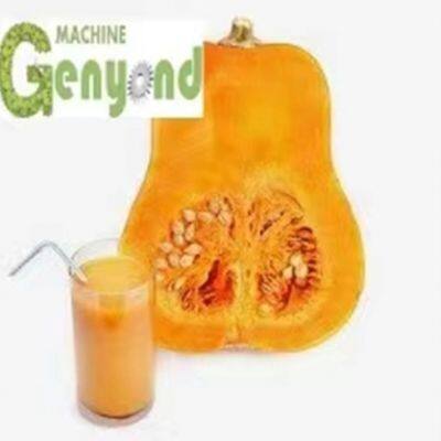 Pumpkin Fruit Processing Production Line Equipment Manufacturing, Pumpkin Pulp Processing Machinery, Pumpkin Juice Processing