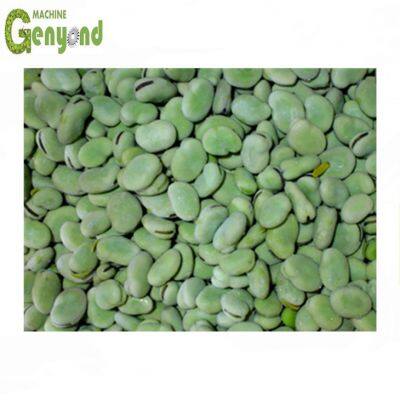 Sala de armazenamento refrigerado de frutas e legumes de Xangai