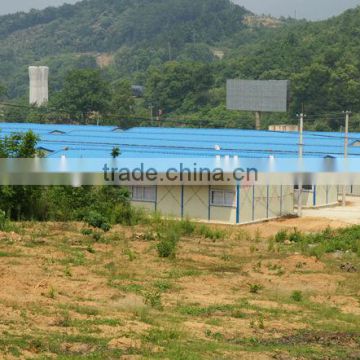 Construction Site Steel Structural Poultry Shed