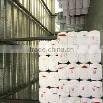 Manufacturer for Recycled Polyester Fiber photo-6