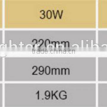 New Design IP65 Meanwell Driver LED Flood Light With Bridgelux Chip