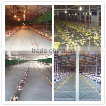 poultry chicken breeding house factory price