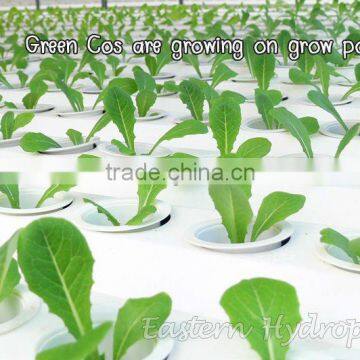 Growing pot