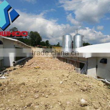 Low Cost Steel Frame Sheds for Poultry Farm photo-6