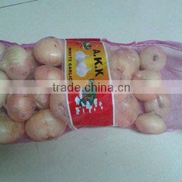 Fresh Yellow Onion in mesh bag