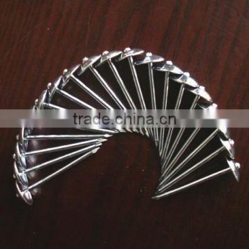 Competitive price umbrella head roofing nails directly manufacturer