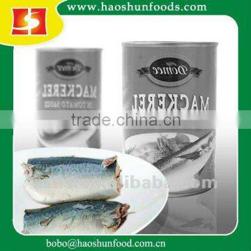 Canned Mackerel in Brine