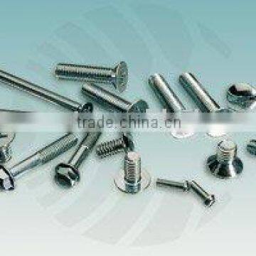 Slotted Cheese Head Screws