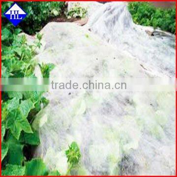 Biodegradable Root control PP fabric