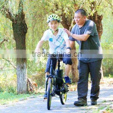 Haoling EN15194 20inch Lightweight Green Power Electric Bike photo-4