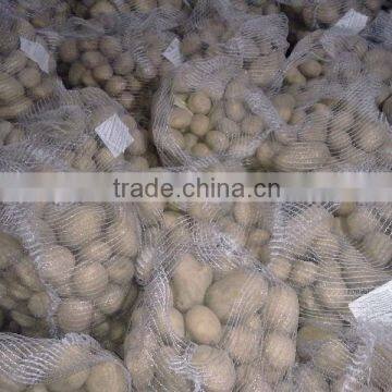 White Potato New Crop