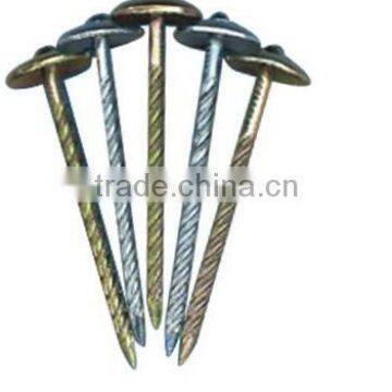 galvanized umbrella roofing nails with twisted shank to Nepal