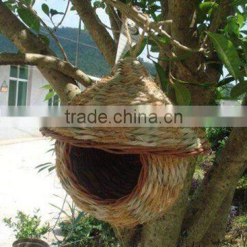 bird nest product