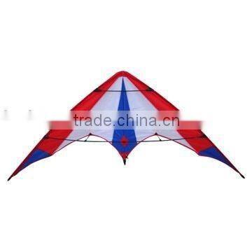 Delta Sports Kite