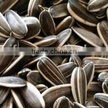 Best Cheap Sunflower Seed 601 photo-3
