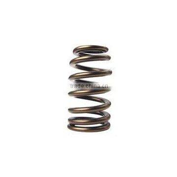 Engine Valve Spring