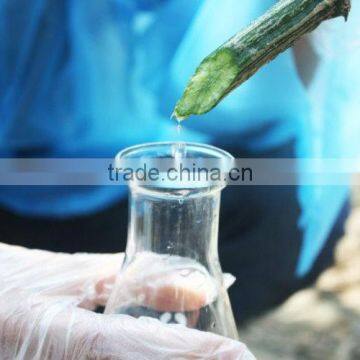 pure natural loofah water