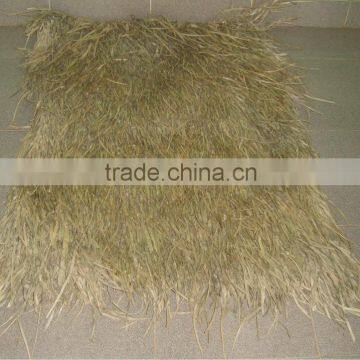 VIETNAM THATCH ROOF/PALM LEAF/SEAGRASS (UMBRELLA & ROLL)_VERY CHEAP: candy@gianguyencraft.com (MS CANDY)