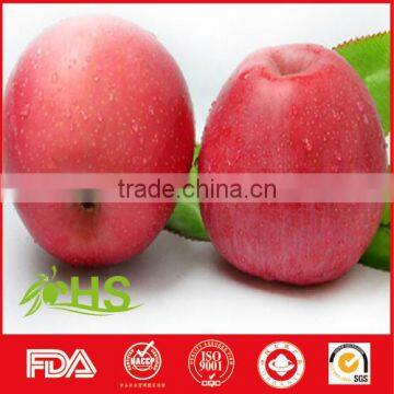 Wholesale red fuji apple and fresh fruits