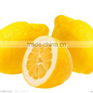 fresh yellow lemon