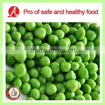 High Quality Frozen Green Peas on Hot Sale